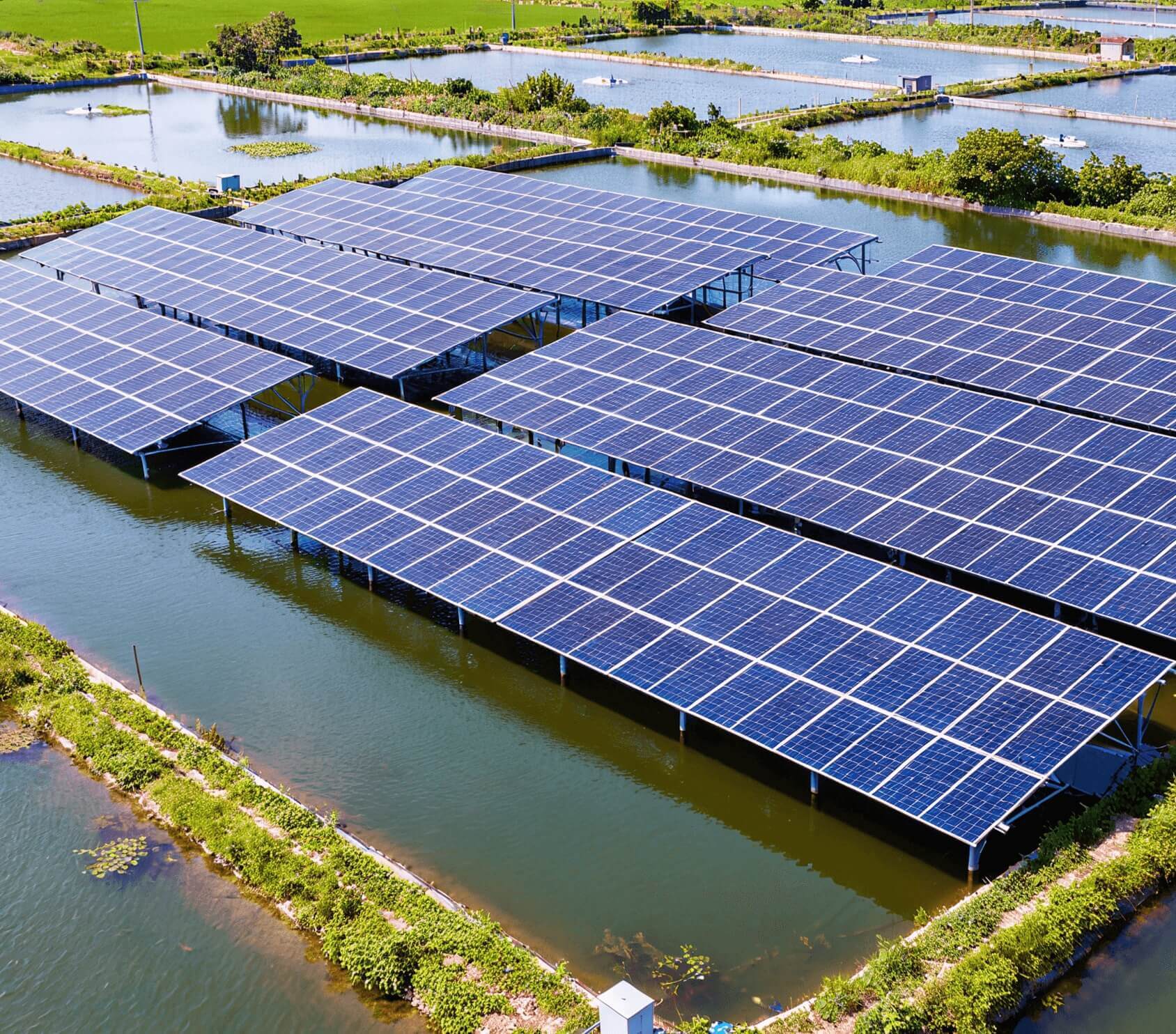 佛冈绿色生态循环养殖虾光互补项目