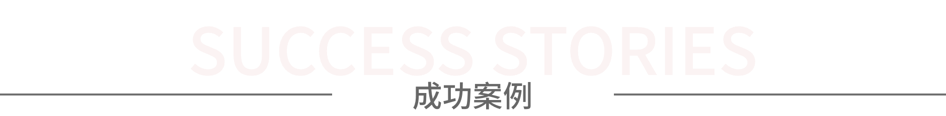 成功案例